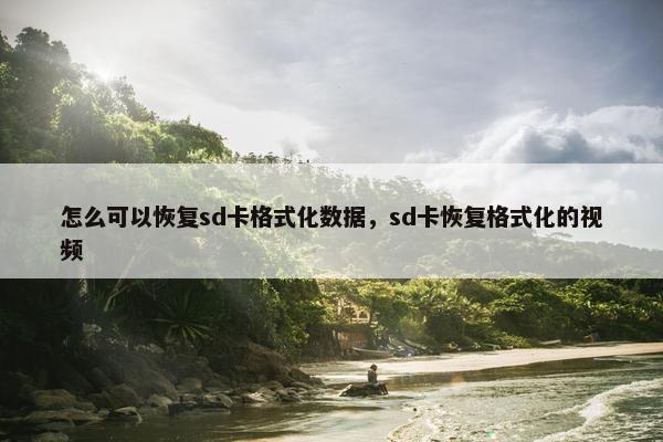 怎么可以恢复sd卡格式化数据，sd卡恢复格式化的视频