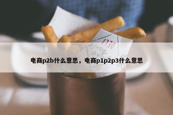 电商p2b什么意思，电商p1p2p3什么意思