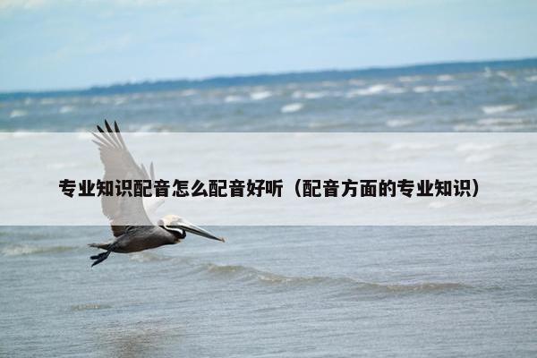 专业知识配音怎么配音好听（配音方面的专业知识）