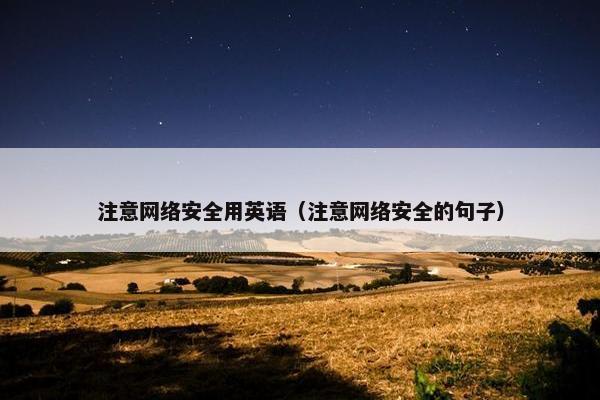 注意网络安全用英语（注意网络安全的句子）