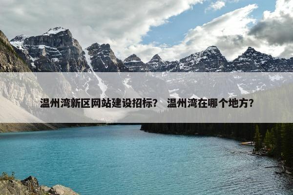 温州湾新区网站建设招标？ 温州湾在哪个地方？