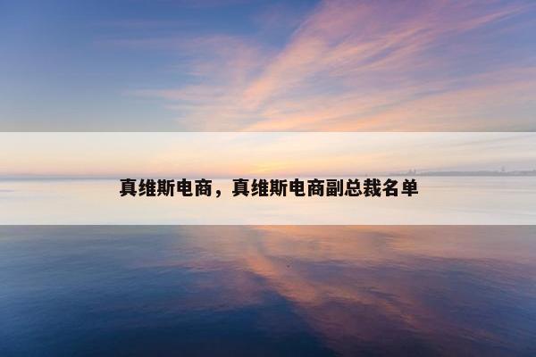 真维斯电商，真维斯电商副总裁名单
