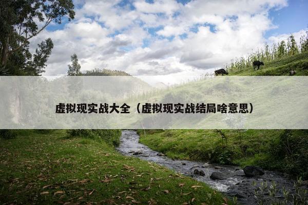 虚拟现实战大全（虚拟现实战结局啥意思）