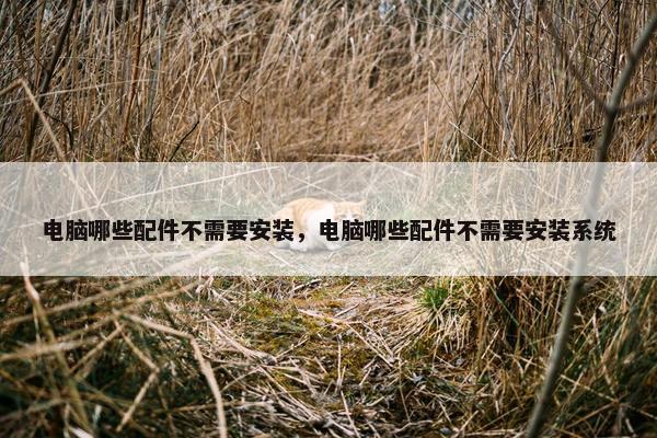 电脑哪些配件不需要安装，电脑哪些配件不需要安装系统