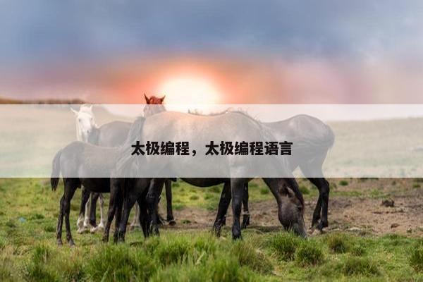太极编程，太极编程语言