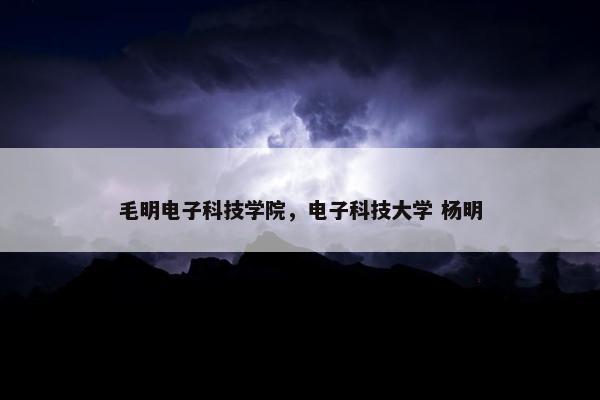 毛明电子科技学院，电子科技大学 杨明
