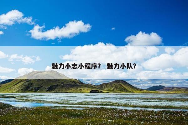 魅力小志小程序？ 魅力小队？