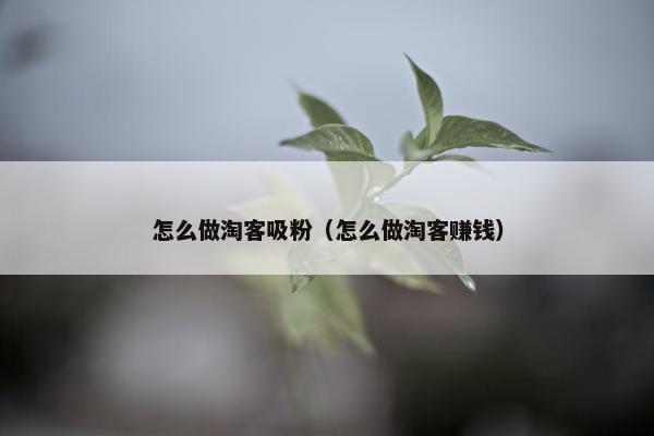 怎么做淘客吸粉（怎么做淘客赚钱）