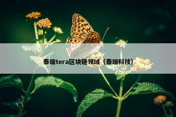 泰瑞tera区块链领域（泰瑞科技）