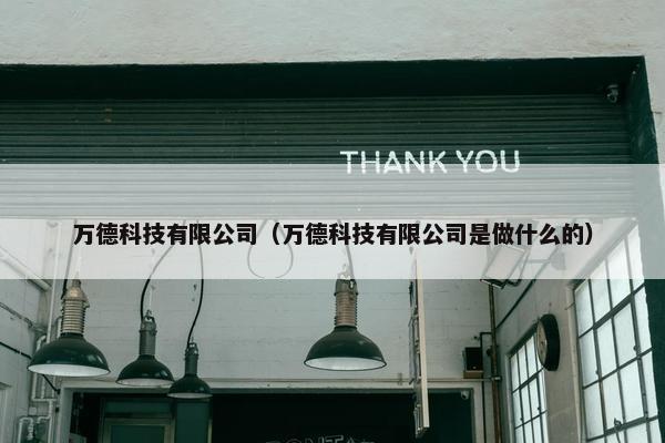 万德科技有限公司（万德科技有限公司是做什么的）