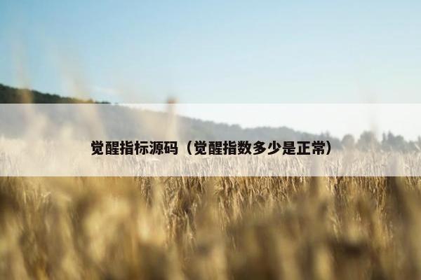觉醒指标源码（觉醒指数多少是正常）