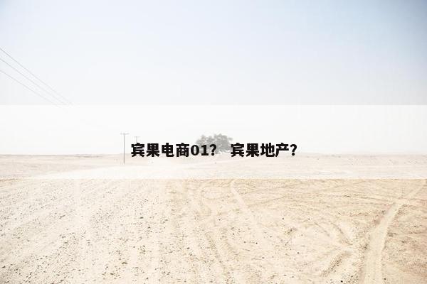 宾果电商01？ 宾果地产？