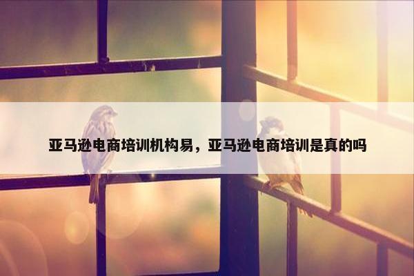 亚马逊电商培训机构易，亚马逊电商培训是真的吗