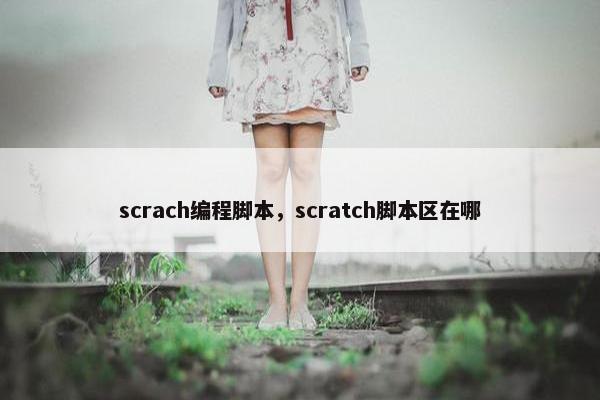 scrach编程脚本，scratch脚本区在哪