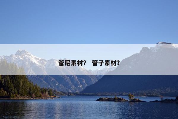 管尼素材？ 管子素材？