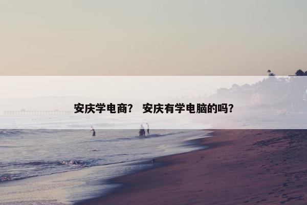 安庆学电商？ 安庆有学电脑的吗？