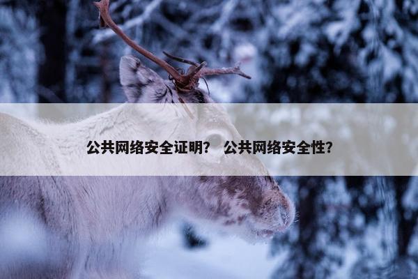 公共网络安全证明？ 公共网络安全性？