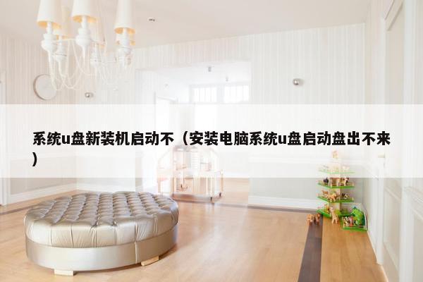 系统u盘新装机启动不（安装电脑系统u盘启动盘出不来）