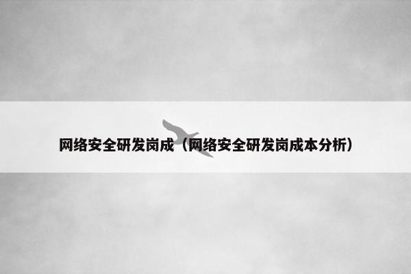 网络安全研发岗成（网络安全研发岗成本分析）