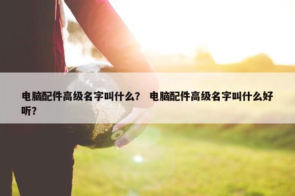 电脑配件高级名字叫什么？ 电脑配件高级名字叫什么好听？