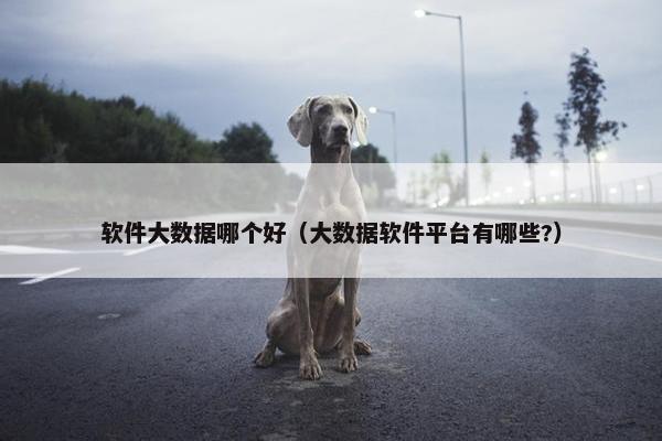软件大数据哪个好（大数据软件平台有哪些?）