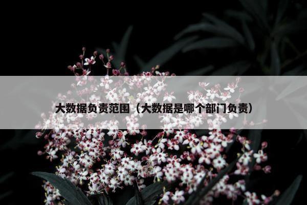 大数据负责范围（大数据是哪个部门负责）