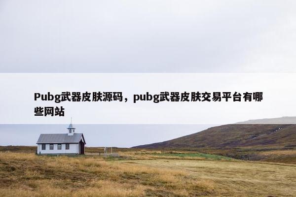 Pubg武器皮肤源码，pubg武器皮肤交易平台有哪些网站