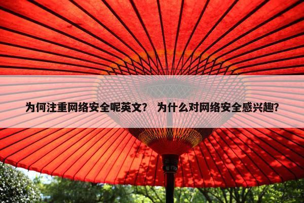 为何注重网络安全呢英文？ 为什么对网络安全感兴趣？