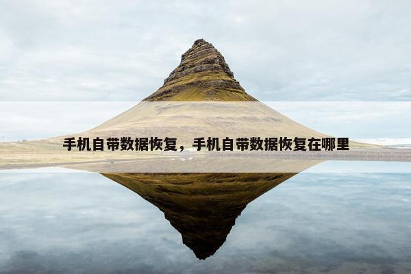 手机自带数据恢复，手机自带数据恢复在哪里