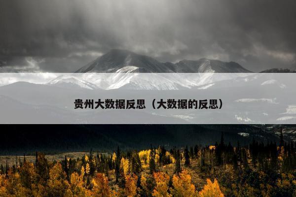 贵州大数据反思（大数据的反思）