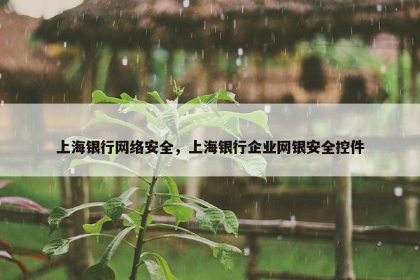 上海银行网络安全，上海银行企业网银安全控件