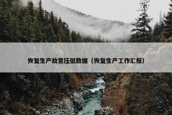 恢复生产故意压低数据（恢复生产工作汇报）