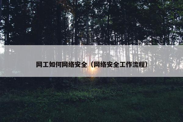 网工如何网络安全（网络安全工作流程）