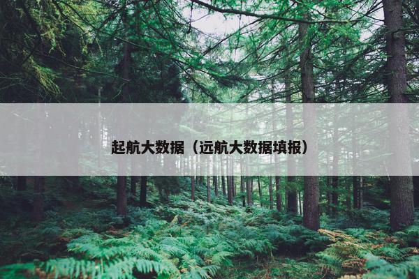 起航大数据（远航大数据填报）