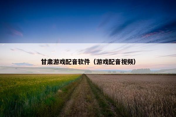 甘肃游戏配音软件（游戏配音视频）