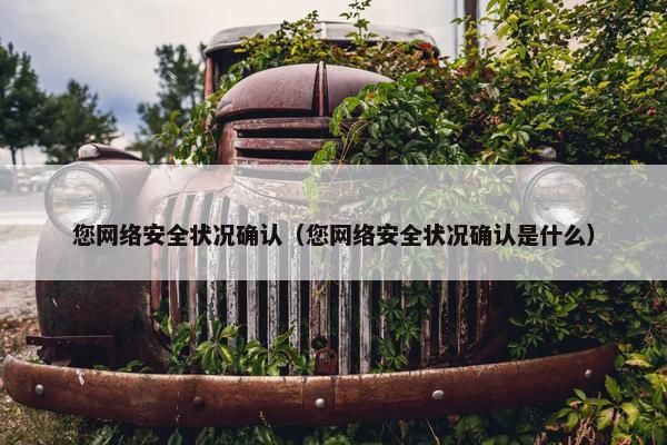 您网络安全状况确认（您网络安全状况确认是什么）