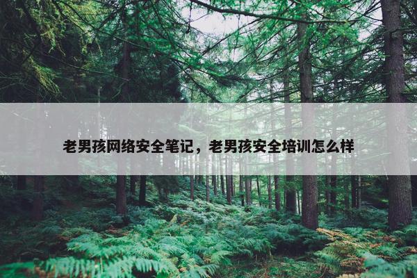 老男孩网络安全笔记，老男孩安全培训怎么样