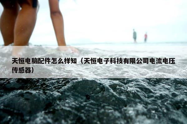 天恒电脑配件怎么样知（天恒电子科技有限公司电流电压传感器）