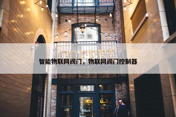 智能物联网阀门，物联网阀门控制器