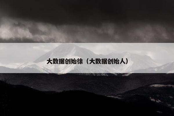 大数据创始徐（大数据创始人）