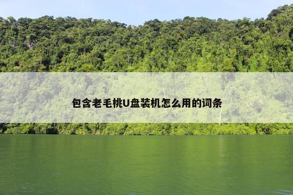 包含老毛桃U盘装机怎么用的词条