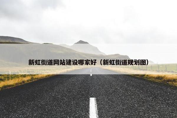 新虹街道网站建设哪家好（新虹街道规划图）