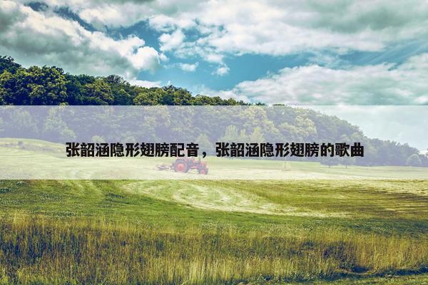 张韶涵隐形翅膀配音，张韶涵隐形翅膀的歌曲