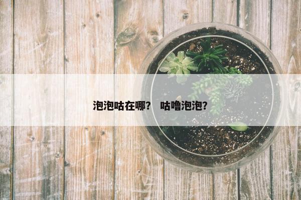 泡泡咕在哪？ 咕噜泡泡？
