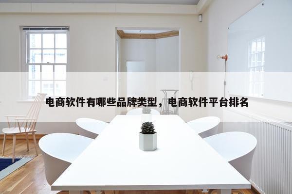 电商软件有哪些品牌类型，电商软件平台排名