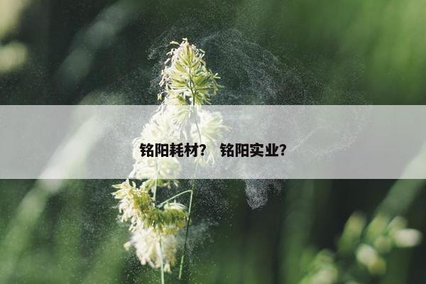 铭阳耗材？ 铭阳实业？