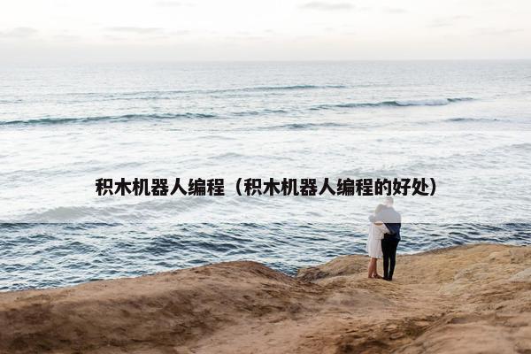 积木机器人编程（积木机器人编程的好处）