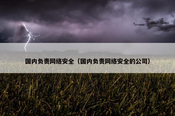 国内负责网络安全（国内负责网络安全的公司）