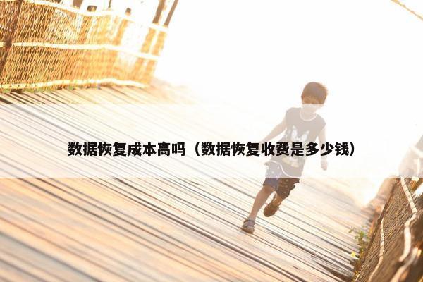 数据恢复成本高吗（数据恢复收费是多少钱）