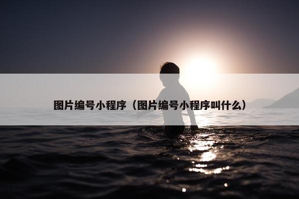 图片编号小程序（图片编号小程序叫什么）